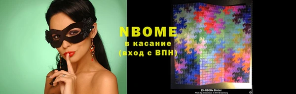 хмурый Сосновка